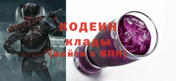 гашик Нягань